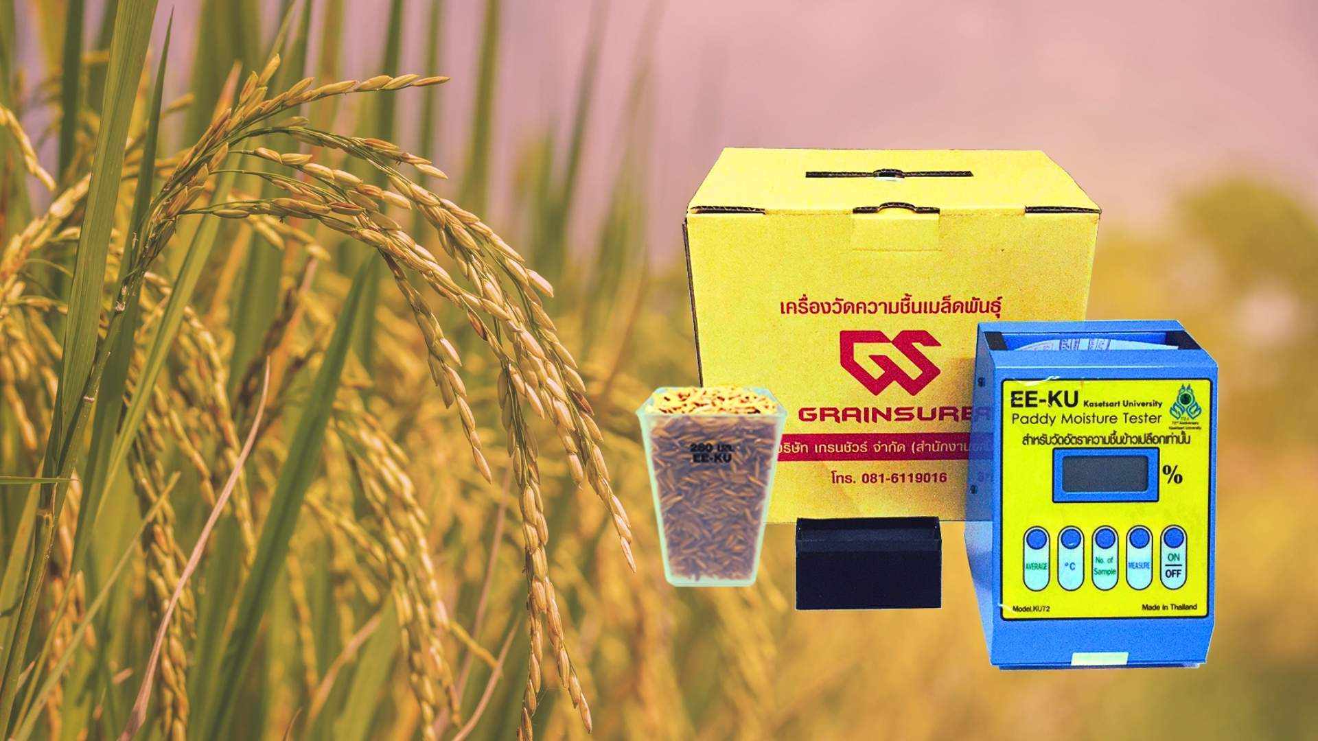 เครื่องวัดความชื้นข้าวเปลือก KU72-PADDY : Paddy Moisture Meter KU72-PADDY