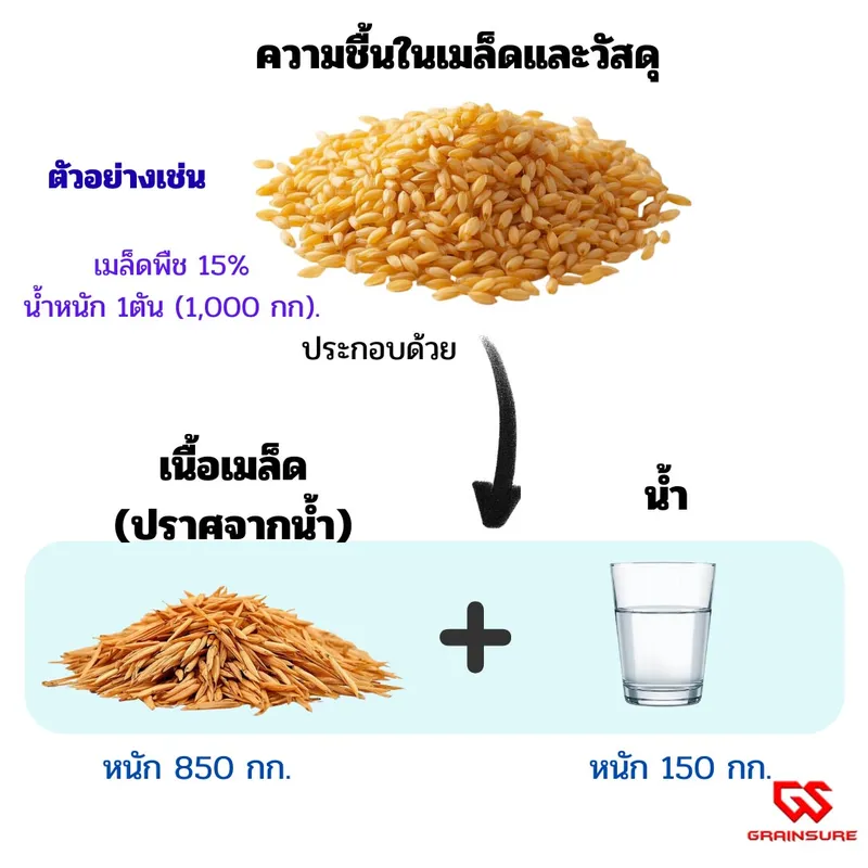 สัดส่วนน้ำและเนื้อเมล็ด