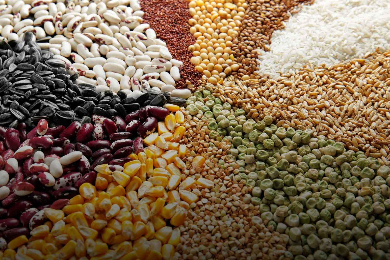 ฐานข้อมูลความชื้นเมล็ด :  Supported Seed Types & Calibration Data for Grainsure Moisture Meters